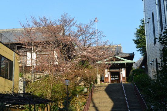 The Nara Episcopal Church
